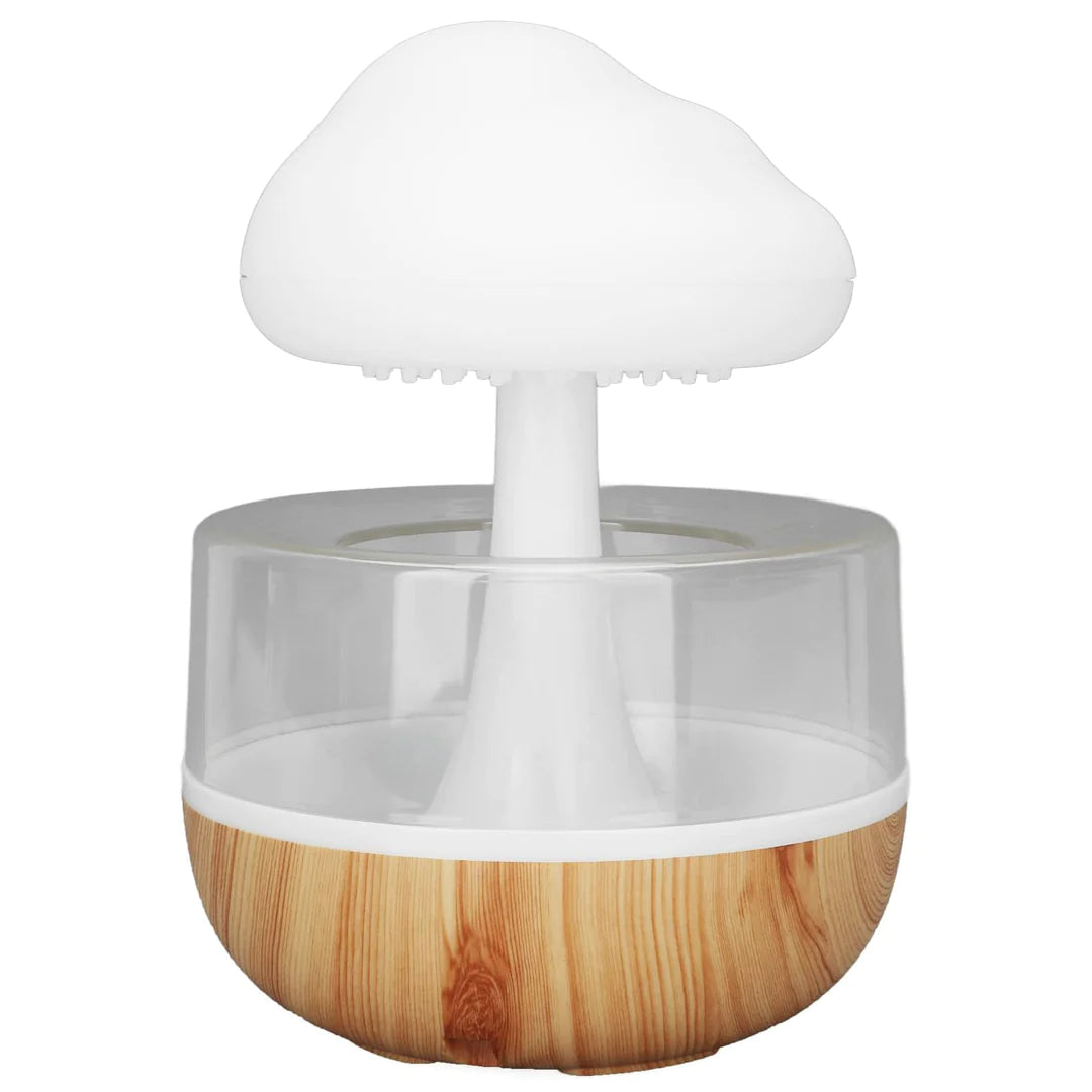 Rain Cloud Humidifier